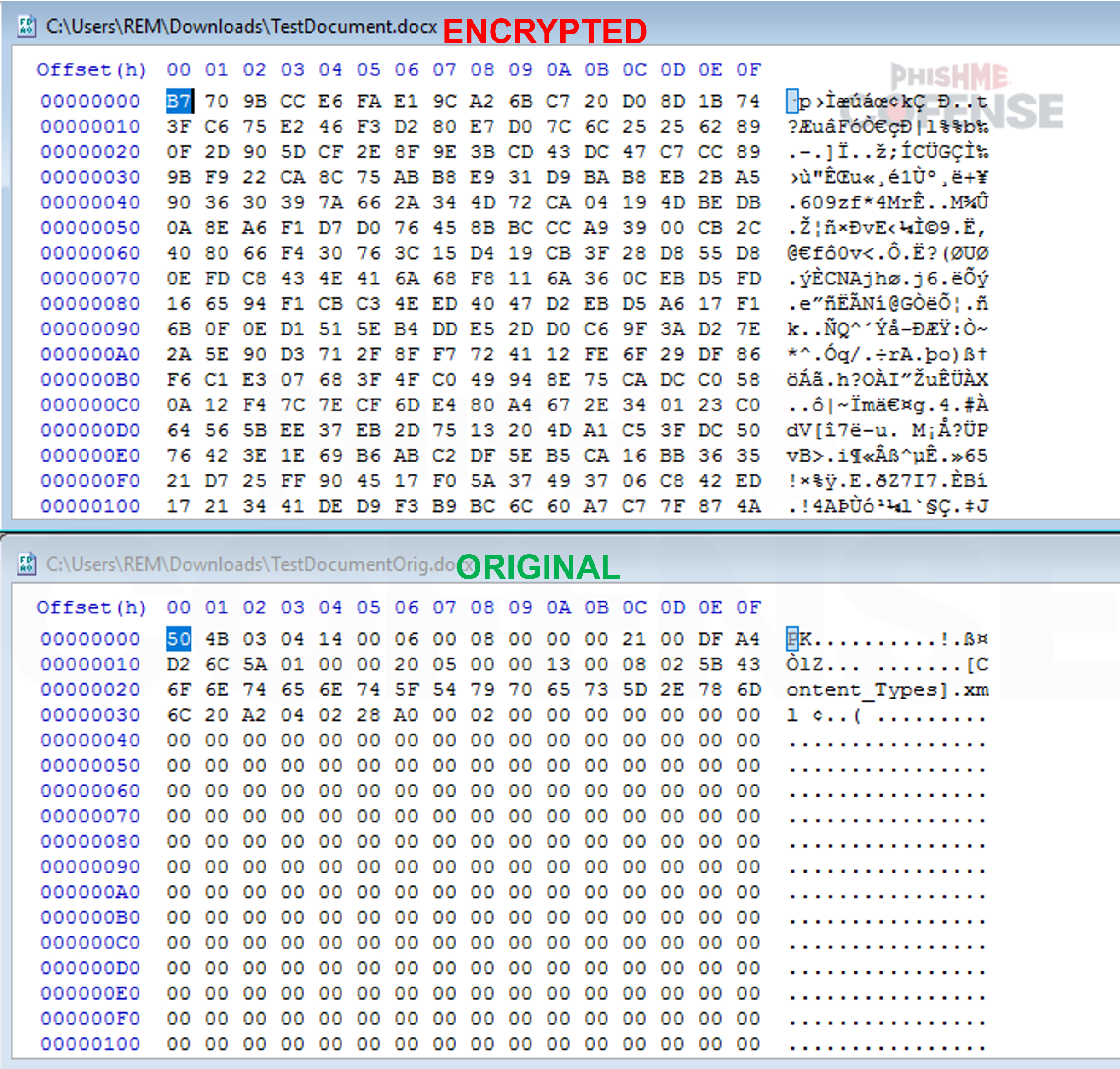 Image-7.PNG